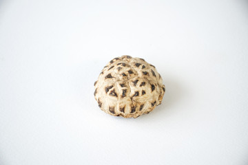 Shiitake mushrooms in white background