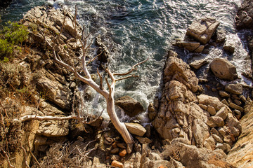 Paysage de la Costa Brava pres de Barcelone