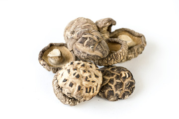 Shiitake mushrooms in white background