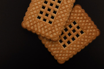 bee on a dark background