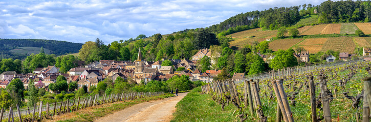 village de Bourgogne au printemps