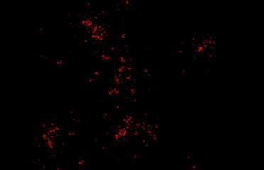 Black red black abstract fractal in modern style on black background. Abstract geometric paper background