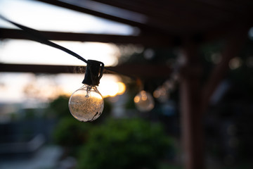 String lights under a pergola in a backyard at sunset.