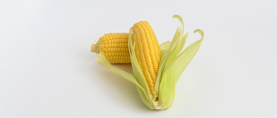Fresh corn ears with leaves set isolated on white background with clipping path