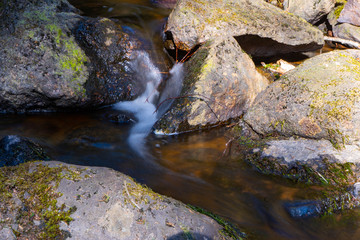 Naklejka na ściany i meble The stream in the spring. Photo of scandinavian nature. Swedish forest.