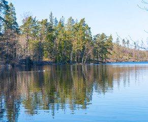 Fototapeta na wymiar The lake in the Swedish forest. Photo of Scandinavian nature. Woods in north Europe.