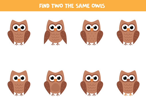 Logical puzzle for kids. Find two identical owls.