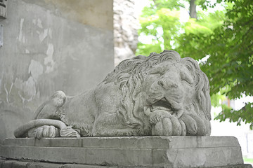 Historic statue of lion in lviv