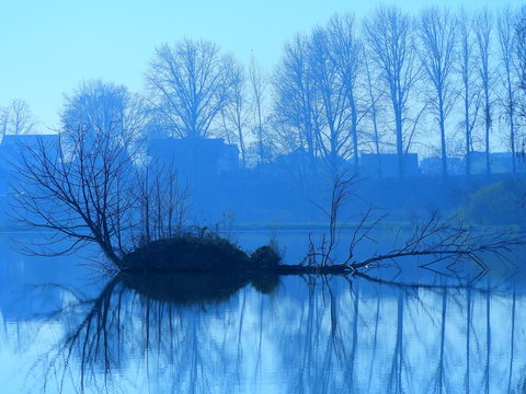 staw