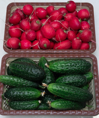 Lots of green cucumbers and red fresh radishes, spring vegetables, vegetables on the table, cucumbers and radishes