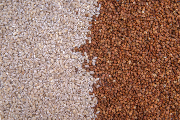 Buckwheat and pearl barley. Texture. Background. Good nutrition. Healthy eating. Diet.