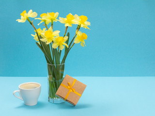 Bouquet of yellow daffodils in vase with gift box on a blue background.