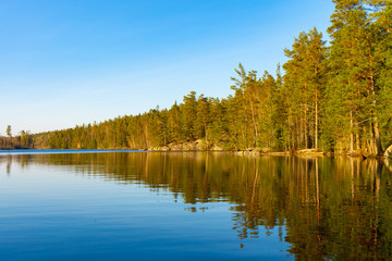 The lake in the Swedish forest. Photo of Scandinavian nature. Woods in north Europe.