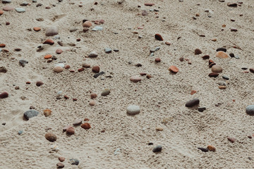 A group of people on a beachundefined