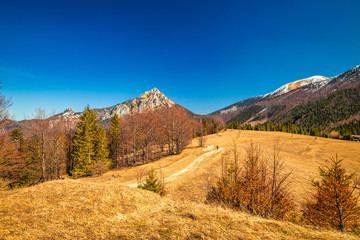 Landscape with mountains springtime. The Mala Fatra National Park, near the village of Terchova in Slovakia, Europe.