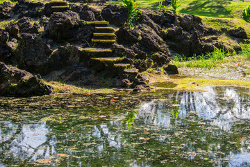 japanese garden pond