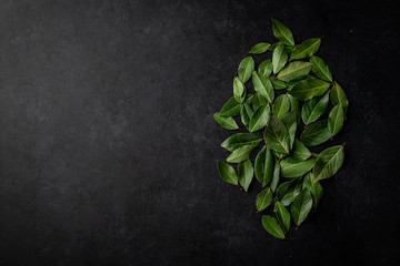 bay leaves on a black background, top view, place for text.