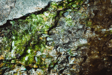 stains in water, earth texture, background