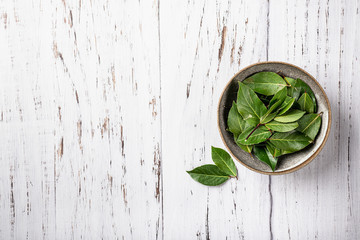 bay leaves on a light background, top view, place for text.