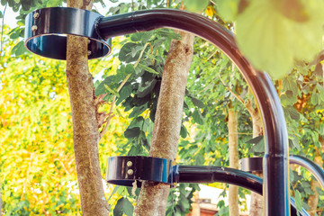 Black steel column supports and controls the branches and trunks of the tree to stand upright and beautiful in the park.