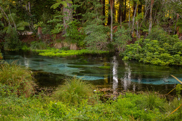 The Crystal Clear Waters of Hamurana Springs, New Zealand