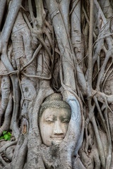 old head buddha image in thai temple