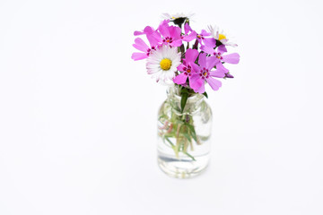 Beautiful bouquet of spring flowers - phlox subulata and daisies, copy space for text