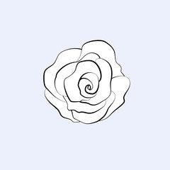 Vector silhouette of a rose made of black lines isolated on a light background