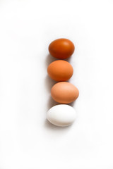 FIve colourful chicken eggs laying in a line on white isolated background. Vertical shot. DIversity of chiken eggs.