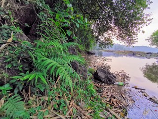 Mouantain View, Kariyathum para - India