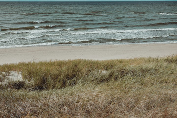 Bay on the Curonian Spit. Russia.
