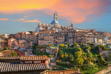 Naklejka premium Siena - historical medieval town at sunset with view of the Dome & Bell Tower of Siena Cathedral (Duomo di Siena), landmark Mangia Tower and Basilica of San Domenico,Italy