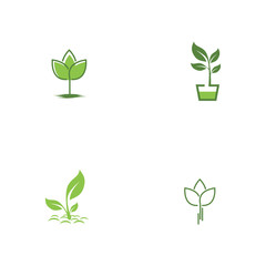 Set Green garden green leaf Logo Template