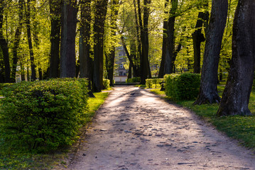 Pałac Branickich w pierwszych dniach wiosny. Wersal Podlasia, Białystok, Polska © podlaski49