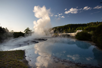 Wairakei terraces -  Volcanic heated water rises in plumes near Taupo, on New Zealand`s North Island