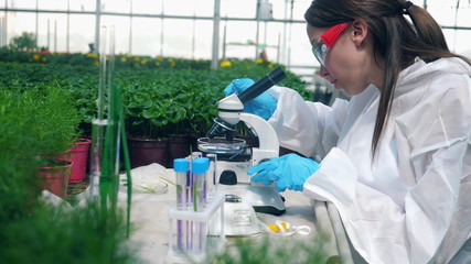 Chemical research is getting done by a female agronomist