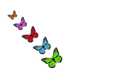 Naklejka premium butterfly on a white background from small to large