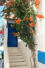 White stairway to blue tunisian door with orange bougainvillea on the left