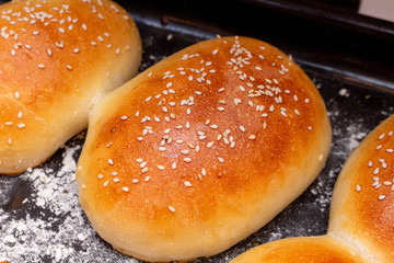 homemade bread hamburger buns with sesame seeds on a baking sheet