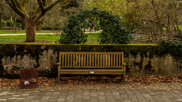 brown chair under the green arch in the park