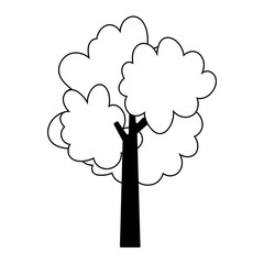 tree greenery foliage nature isolated icon on white background line style