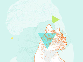 Tense looking cat. Detailed illustration, hand drawn, richly textured. 
