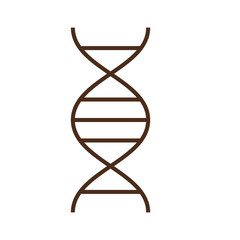 Linear vector icon with DNA