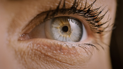 Close Up Macro Shot of an Eye. Young Beatiful Female With Light Blue, Yellow and Brown Color...