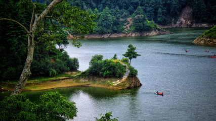 Fototapeta premium lake in the forest,markhu,Kulekhani