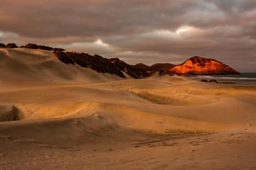 Fototapeta na wymiar View of the sand dunes near Wharariki Beach at Nelson, New Zealand