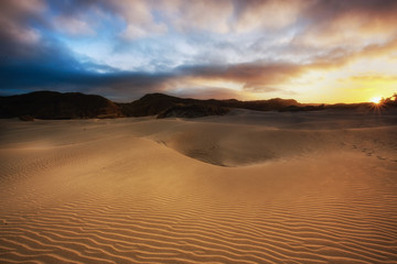 Plakat View of the sand dunes near Wharariki Beach at Nelson, New Zealand