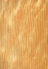 Natural wooden texture background. pine wood