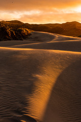 View of the sand dunes near Wharariki Beach at Nelson, New Zealand