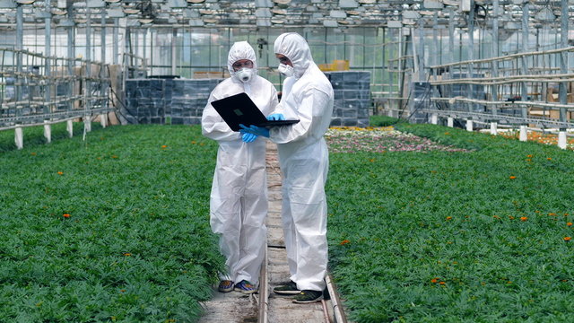 Two chemists are among the plants with a laptop